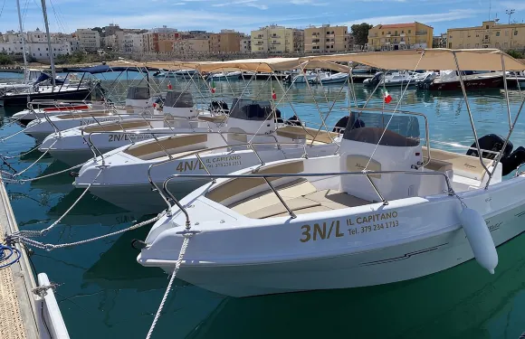 4小時維耶斯泰私人導覽船遊