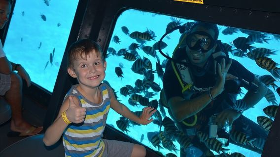 Panorama Semi Submarine Snorkeling Cruise Hurghada