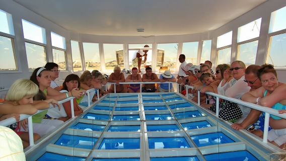 Glass-bottom boat tour from Sharm El Sheikh