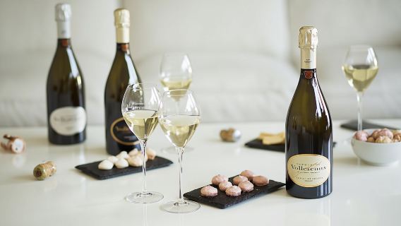 Guided Tour of the Vollereaux Champagne Cellar with tasting