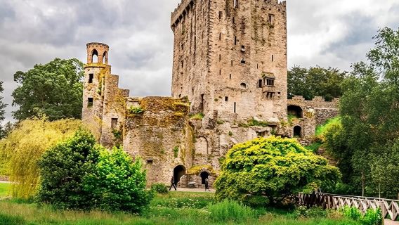 Blarney Castle and The Rock of Cashel with Private Chauffeur Tour