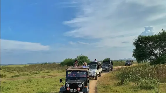 Excursión de un día al Parque Nacional Udawalawe en Sri Lanka - Servicio de coche privado con conductor VIP (vehículo todoterreno)