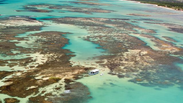 ทัวร์เต็มวันไปยังหาดปาริปูเอราและแอ่งน้ำขึ้นน้ำลงในเมืองมาเซโอ