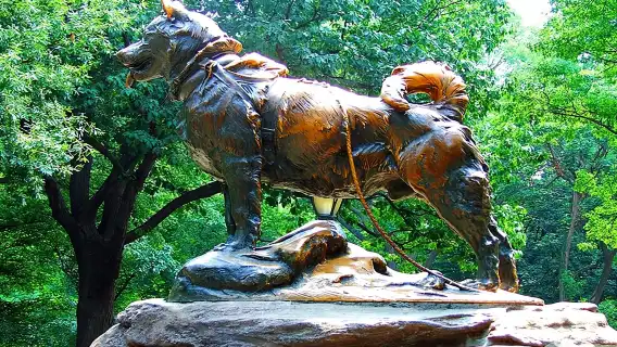 NYC Central Park Self-Guided Walking Tour