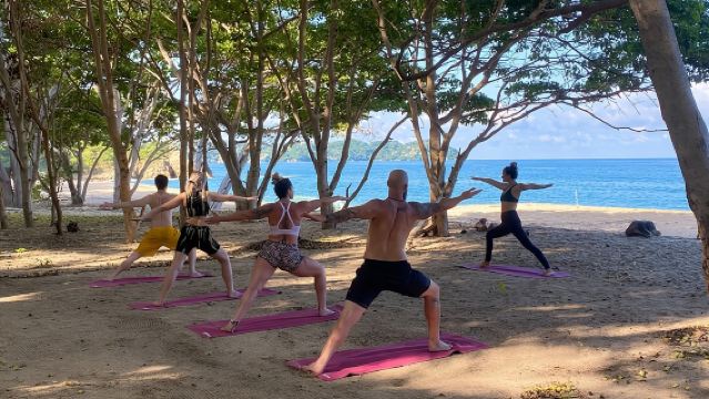 Experiencia de Senderismo y Yoga en la Jungla de México