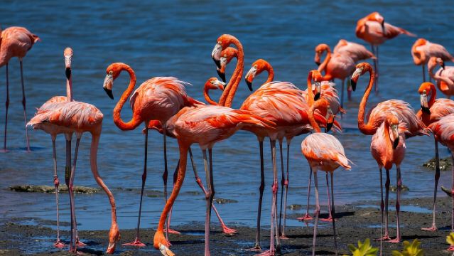 VIP Private Highlight Tour – North & South