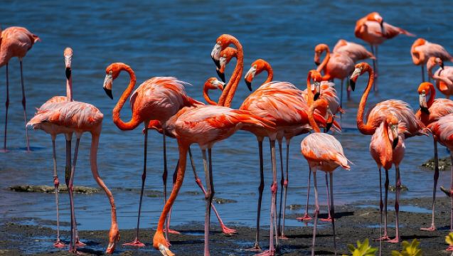 VIP-Privat-Tour zu den Highlights – Nord und Süd