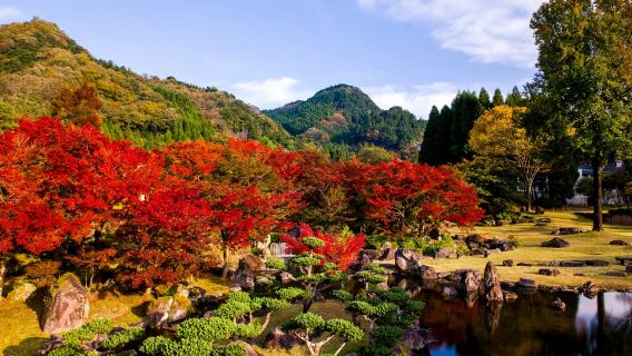 玖珠町日遊