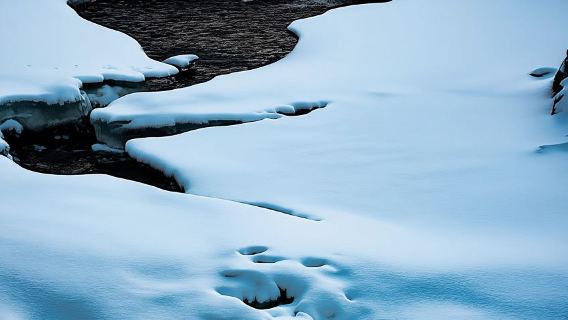 Tromso: Visit 5 Fjords in 4 hours