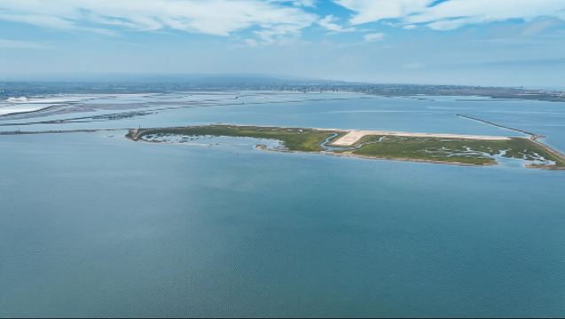 San Diego: Kajaktour durch die kristallklare Tierwelt