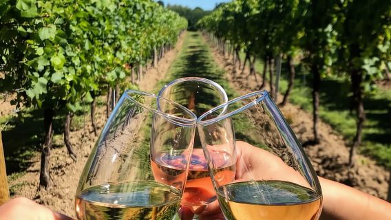 Città del Capo: tour privato in quad, vino e diamanti