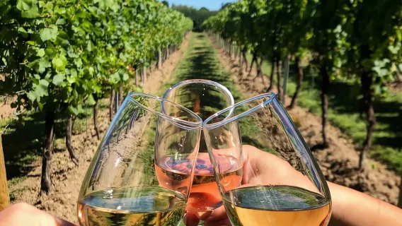 Cape Town: Private Quad Bike, Wine, and Diamond Tour