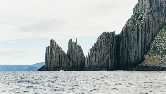 From Port Arthur: Tasman Island Wilderness Cruise
