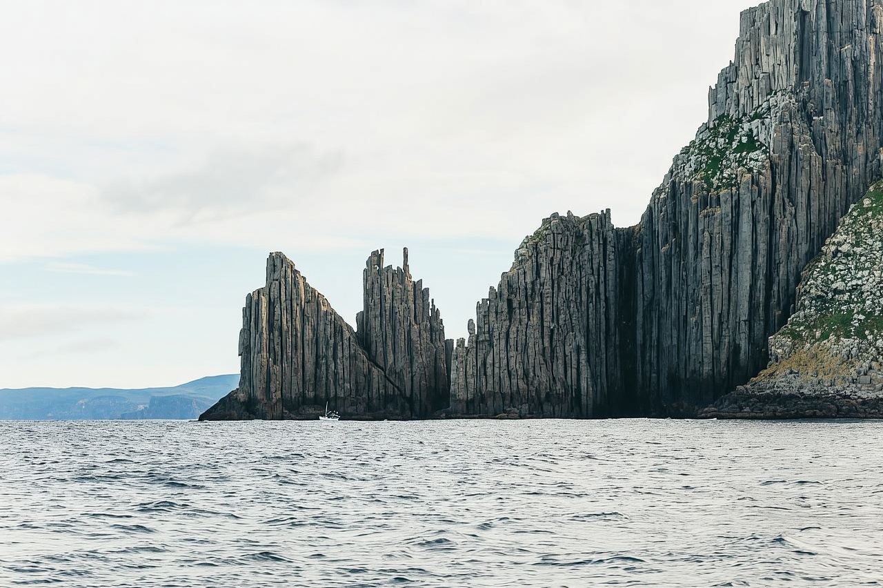 From Port Arthur: Tasman Island Wilderness Cruise