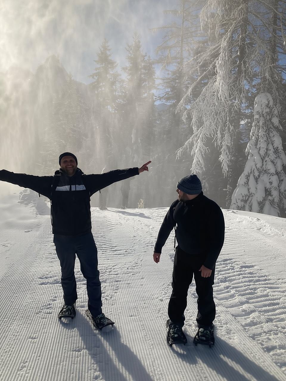 Ehrwald: Zugspitze Snowshoe Hiking Tour with Mountain Views