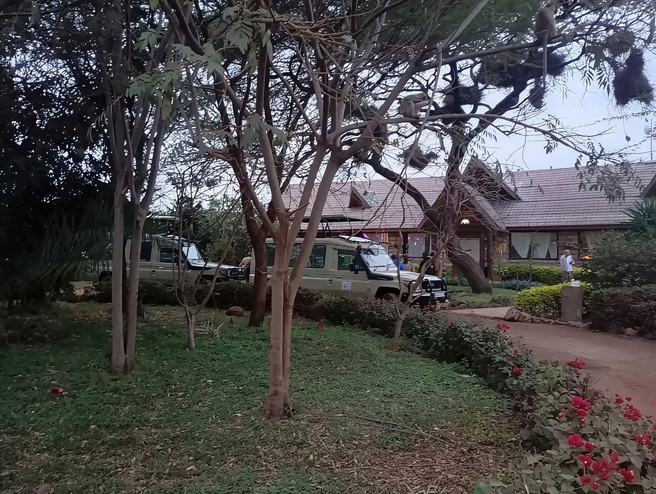 From Nairobi: Lake Nakuru & Naivasha National Park Day Tour