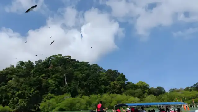 Langkawi island hopping tour with sea fishing and snorkeling, half-day/1-day tour + BBQ lunch + Pulau Beras Basah and Pulau Dayang Bunting