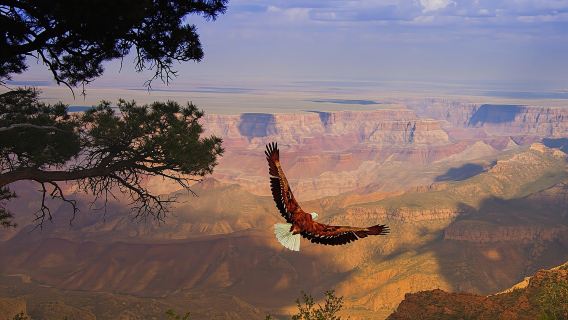 Grand Canyon West Rim with Hoover Dam photo stop