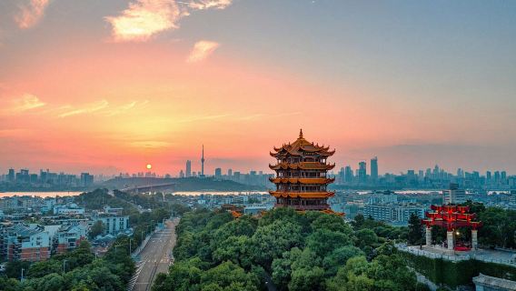 黃鶴樓+省博物館+東湖生態旅遊風景區+武漢大學一日遊【包車遊1單1團】