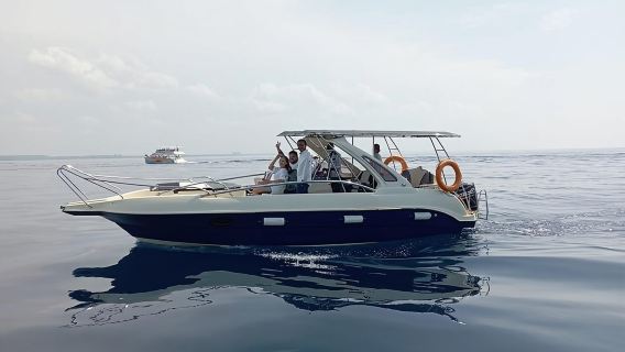 Whale Watching in Speed Boat in Mirissa