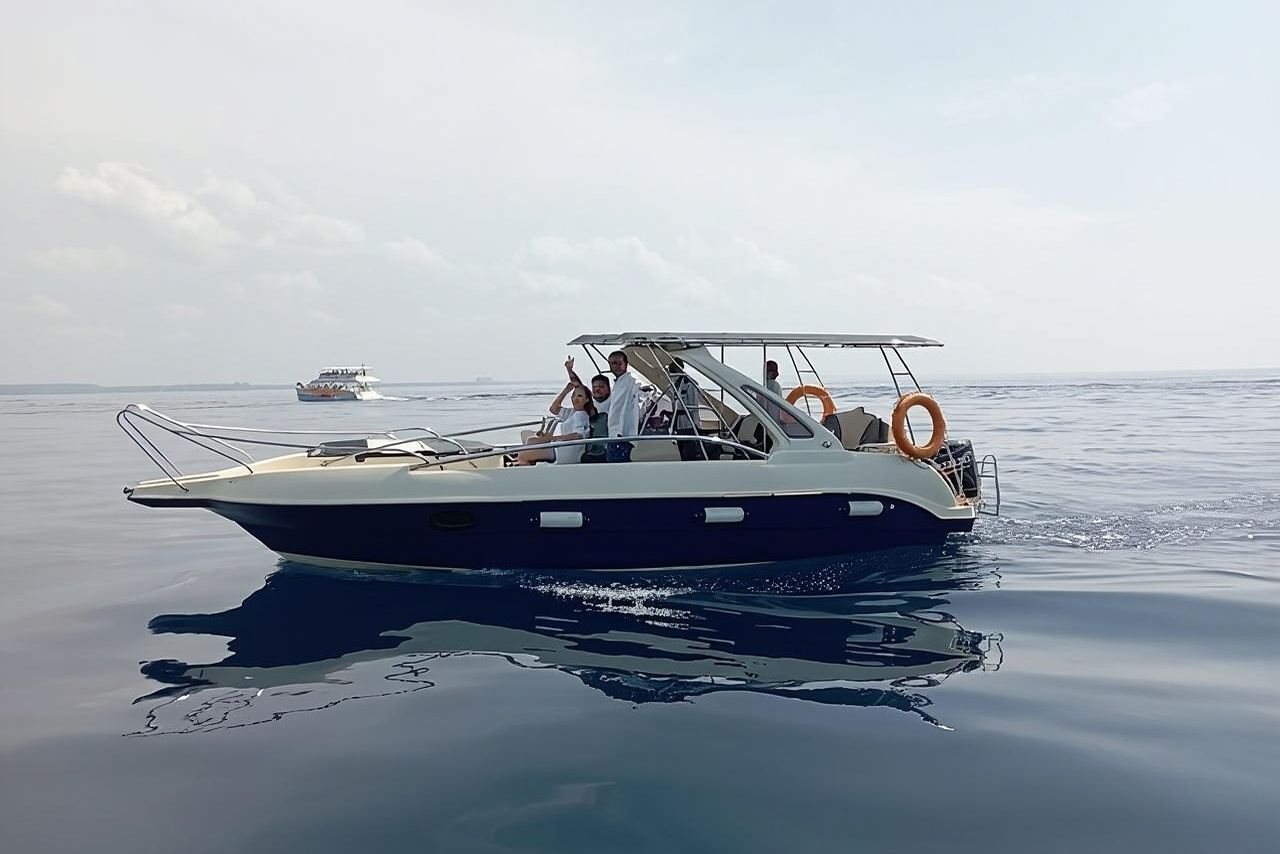 美蕊沙快艇觀鯨之旅