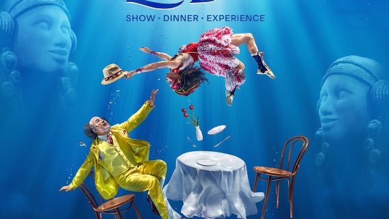 Cirque du Soleil LUDÕ - Nuevo Vallarta