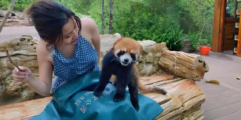 【一單一團不拼車】雲南普洱太陽河國家森林公園純玩一日遊