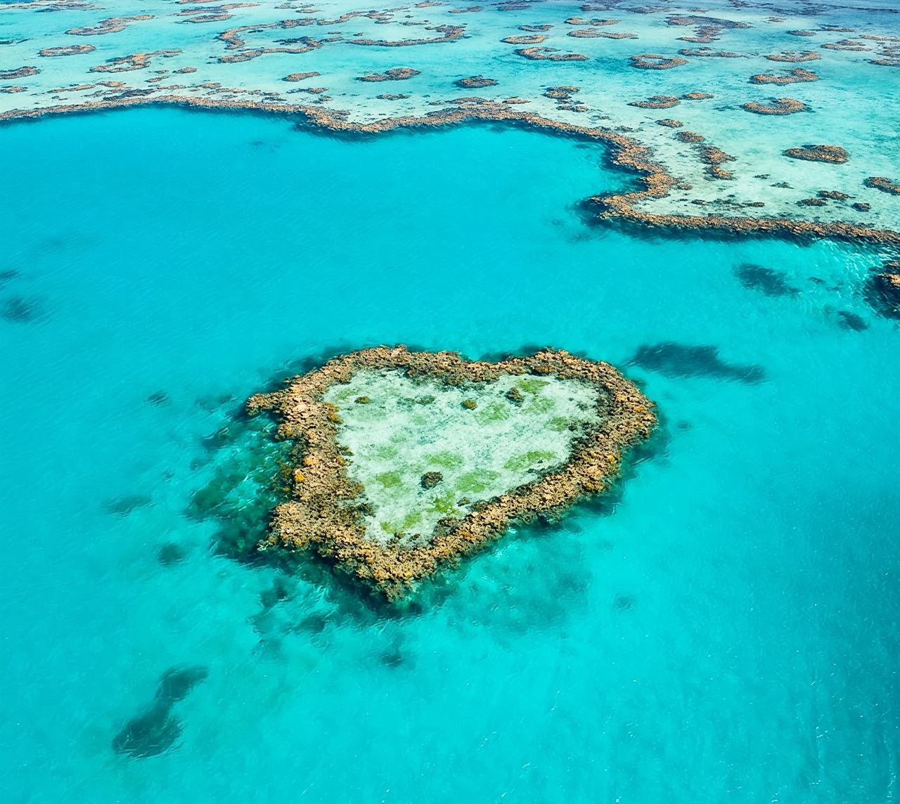 [Confirmación rápida] Excursión de un día a la Gran Barrera de Coral en Hardy Reef, Islas Whitsunday, con opción de buceo en el Arrecife Heart