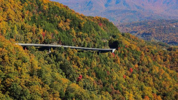 Pigeon Forge: tour in elicottero nella Wears Valley