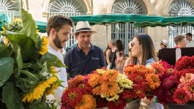Da Aix-en-Provence: Arles, Les Baux e Saint-Rémy per l'intera giornata