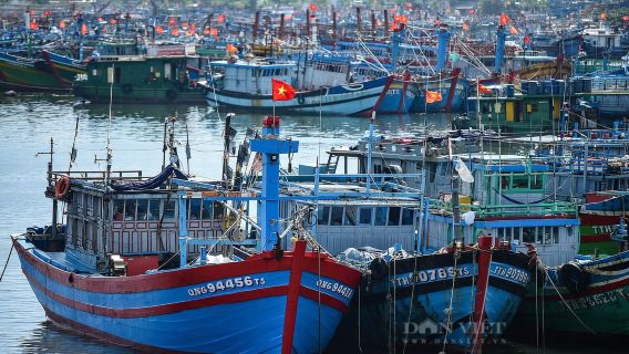 ทัวร์รถมอเตอร์ไซค์กับไกด์ท้องถิ่นจากดานัง/ฮอยอัน/เว้