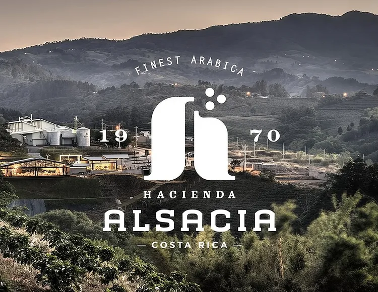 Hacienda Alsacia Starbucks Coffe Tour | Trip.com