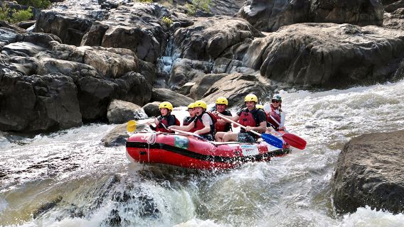 CairnsTours