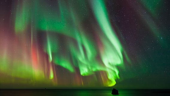 #1 Northern Lights Tour In Iceland from Reykjavik with PRO photos