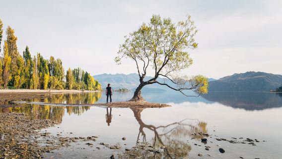 Arrowtown and Wanaka Highlights Tour from Queenstown