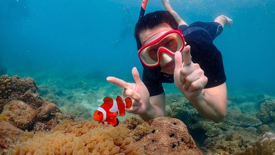Pattaya, Thailand Experience diving Snorkeling/Scuba diving Photography 3 Hours [Private Speedboating/Snorkeling Clownfish/Finding Nemo/Pattaya Door-to-Door Pickup]