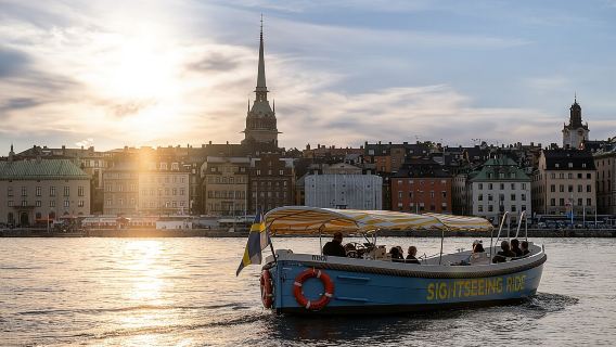 Chuyến đi thuyền điện mở ở Stockholm có hướng dẫn viên trực tiếp (EN/DE)