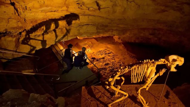 one-day tour to Coonawarra Nalacote Caves National Park in South Australia