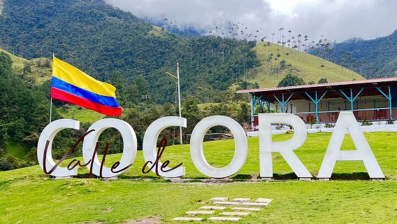 Salento, Cocora and Filandia Private Tour from Pereira or Armenia