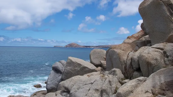 Tour di Victor Harbor e della penisola di Fleurieu