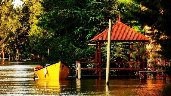 Excursión de medio día al Delta del Tigre con navegación
