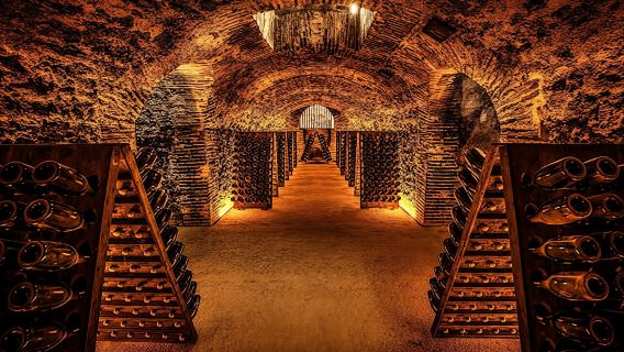 Cellar visit at the Champagne Boizel house and Millésime tasting