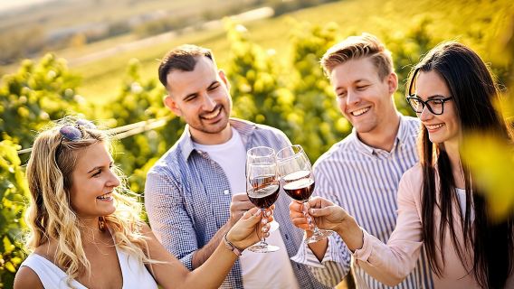 Casablanca world class wines, 4 vineyards & Tanino lunch stop