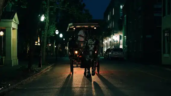 Haunted Evening Horse and Carriage Tour of Charleston