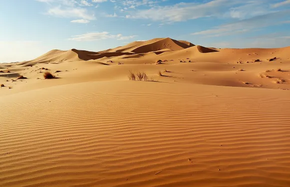 阿加迪爾出發的撒哈拉沙丘半日導賞團