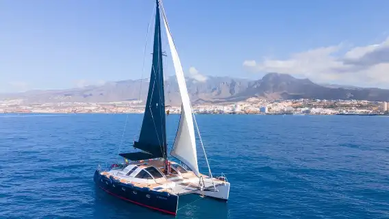 Tenerife: 3-Hour Whale & Dolphin Watching Catamaran Tour with Catering