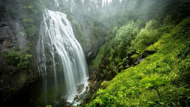 Tour por los lugares destacados del Parque Nacional del Monte Rainier