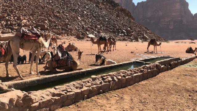 4시간 지프 투어(아침 또는 석양) - 와디럼(Wadi Rum) 사막 하이라이트