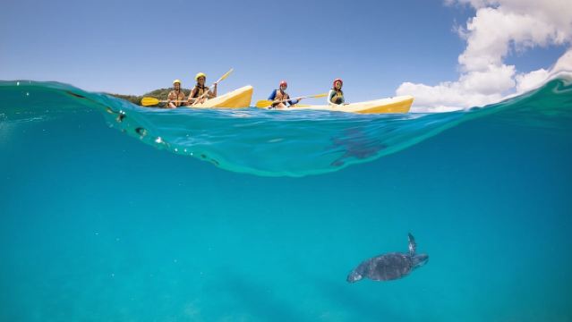 Kayaking with Dolphins in Byron Bay Guided Tour