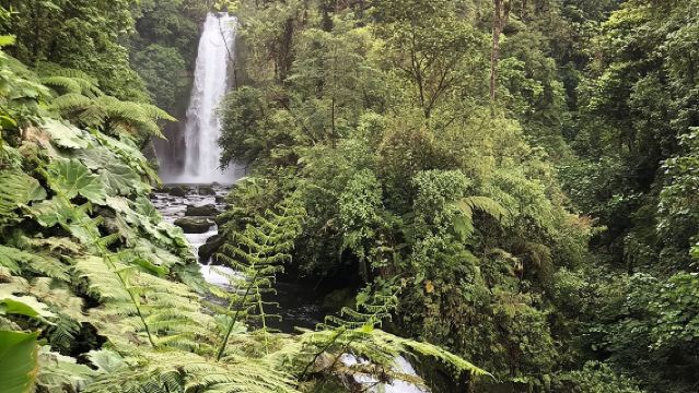 Poás Volcano, Café Doka and Peace Falls Day Tour